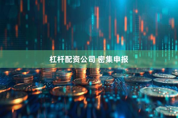 杠杆配资公司 密集申报