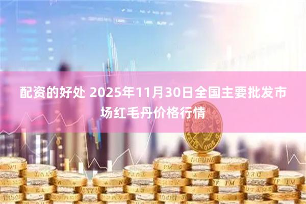配资的好处 2025年11月30日全国主要批发市场红毛丹价格行情