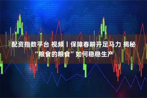 配资指数平台 视频丨保障春耕开足马力 揭秘“粮食的粮食”如何稳稳生产