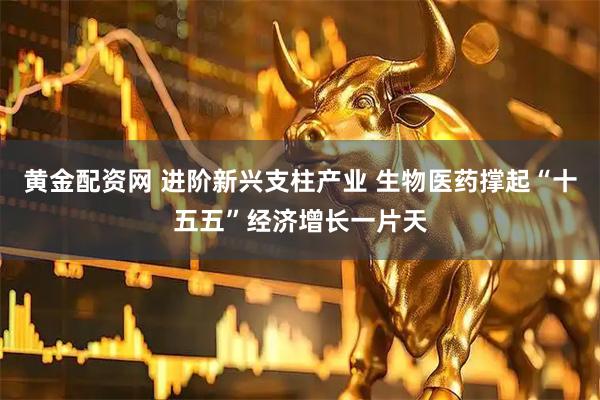 黄金配资网 进阶新兴支柱产业 生物医药撑起“十五五”经济增长一片天